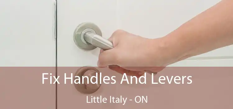 Fix Handles And Levers Little Italy - ON