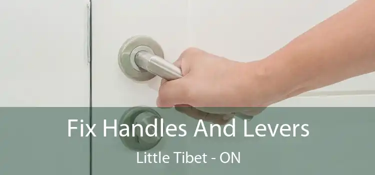  Fix Handles And Levers Little Tibet - ON