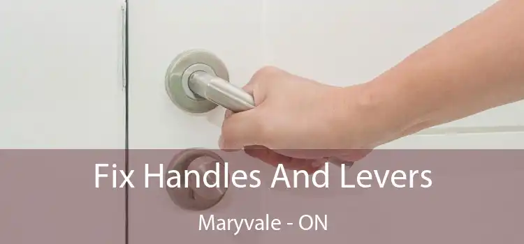  Fix Handles And Levers Maryvale - ON