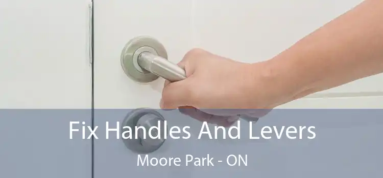  Fix Handles And Levers Moore Park - ON