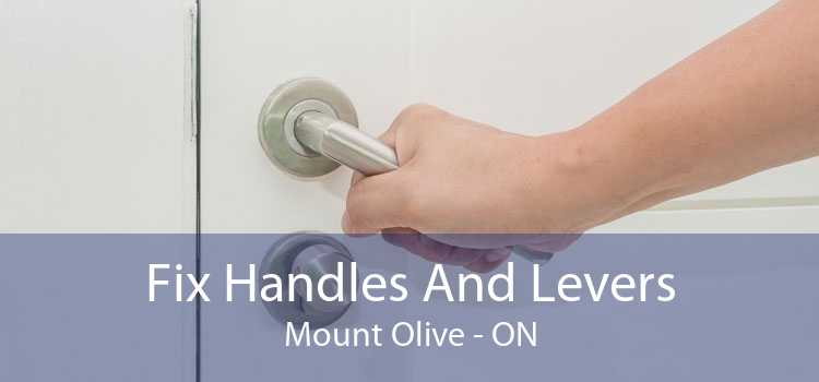 Fix Handles And Levers Mount Olive - ON