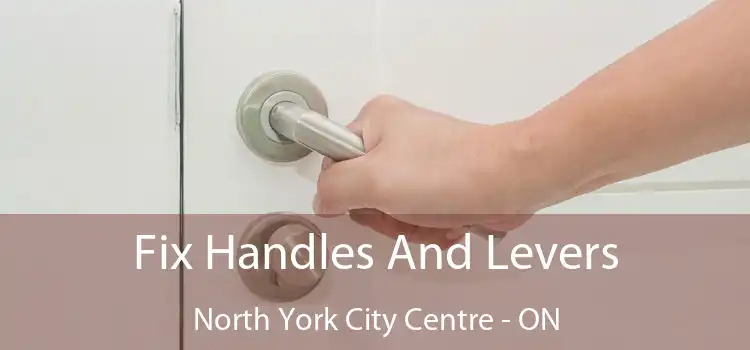  Fix Handles And Levers North York City Centre - ON