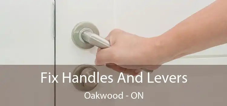  Fix Handles And Levers Oakwood - ON