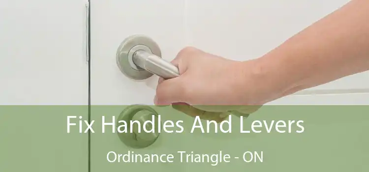  Fix Handles And Levers Ordinance Triangle - ON