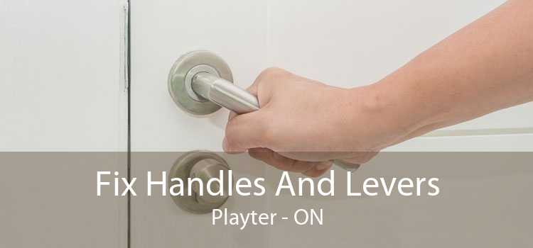 Fix Handles And Levers Playter - ON