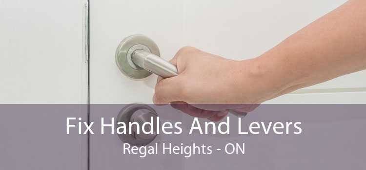 Fix Handles And Levers Regal Heights - ON