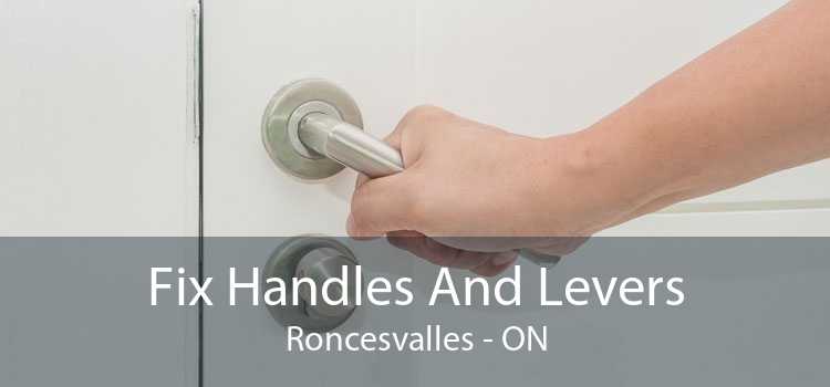 Fix Handles And Levers Roncesvalles - ON