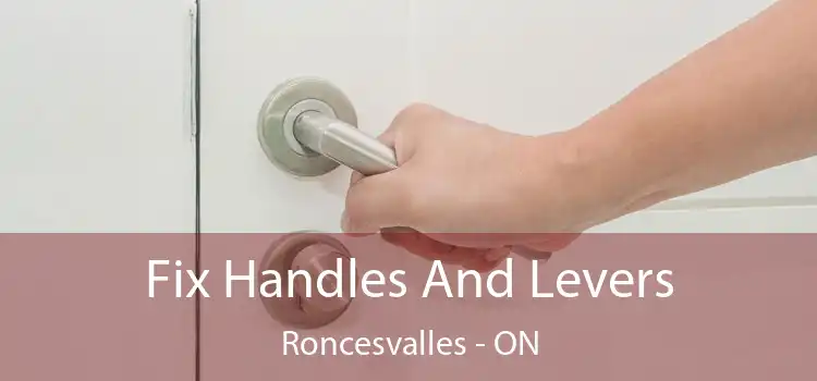  Fix Handles And Levers Roncesvalles - ON