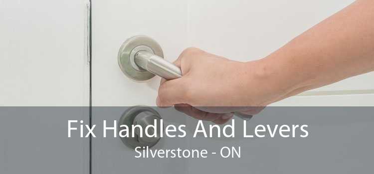 Fix Handles And Levers Silverstone - ON