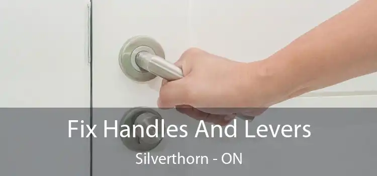  Fix Handles And Levers Silverthorn - ON