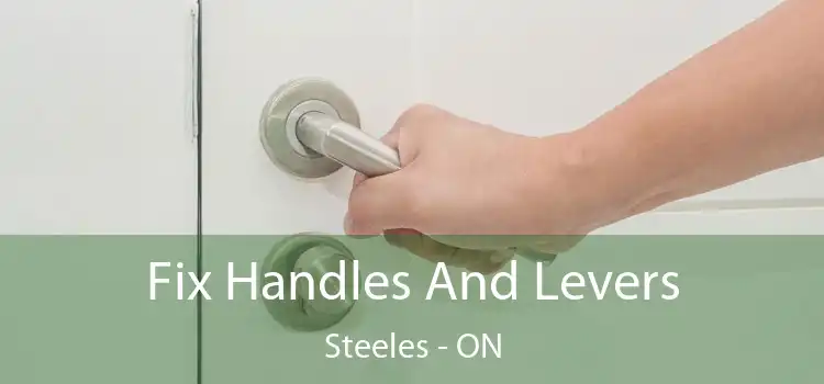  Fix Handles And Levers Steeles - ON