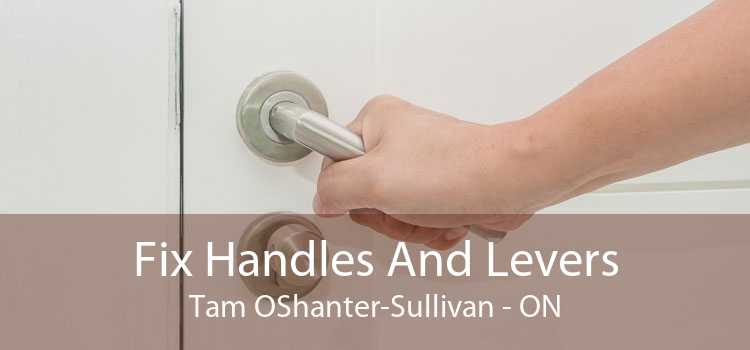 Fix Handles And Levers Tam OShanter-Sullivan - ON