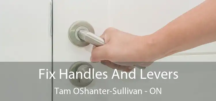  Fix Handles And Levers Tam OShanter-Sullivan - ON
