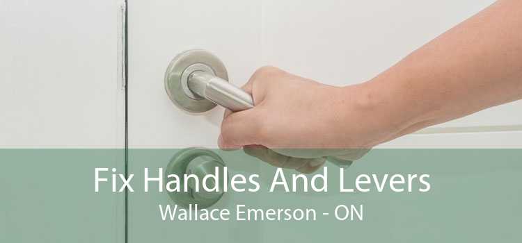 Fix Handles And Levers Wallace Emerson - ON