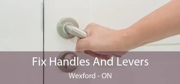  Fix Handles And Levers Wexford - ON