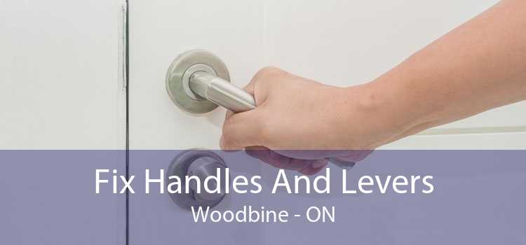 Fix Handles And Levers Woodbine - ON