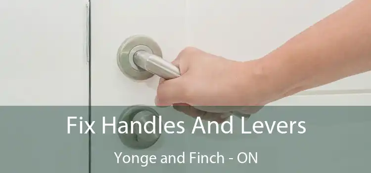  Fix Handles And Levers Yonge and Finch - ON