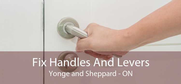Fix Handles And Levers Yonge and Sheppard - ON