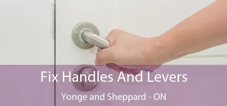  Fix Handles And Levers Yonge and Sheppard - ON