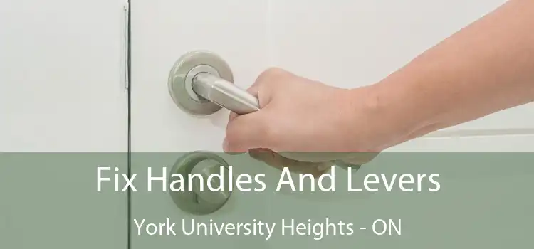  Fix Handles And Levers York University Heights - ON