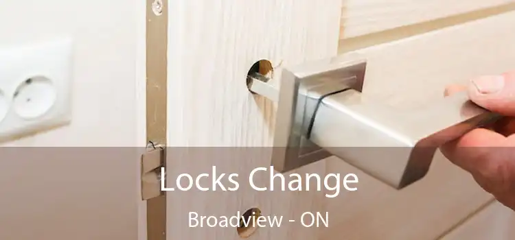  Locks Change Broadview - ON