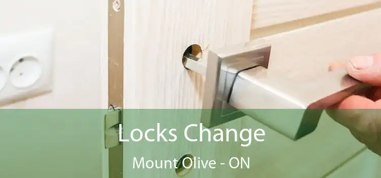  Locks Change Mount Olive - ON