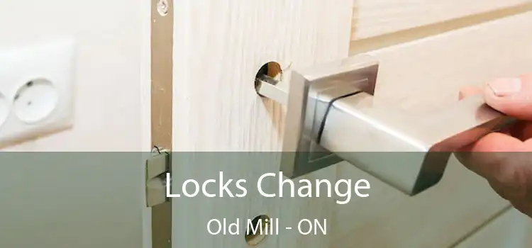  Locks Change Old Mill - ON