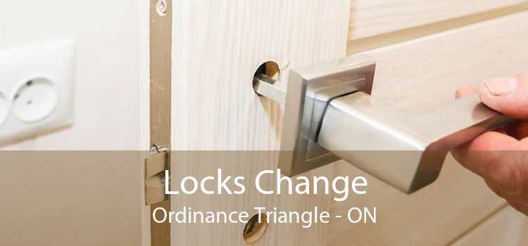 Locks Change Ordinance Triangle - ON