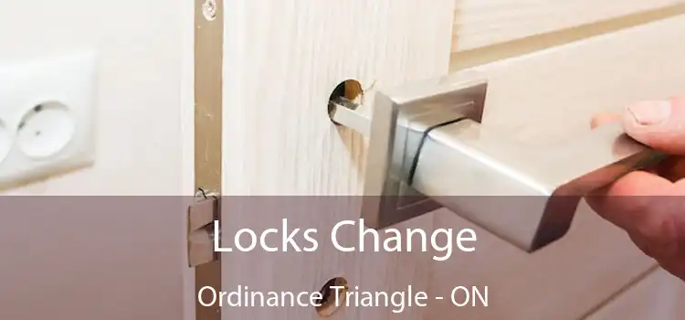  Locks Change Ordinance Triangle - ON