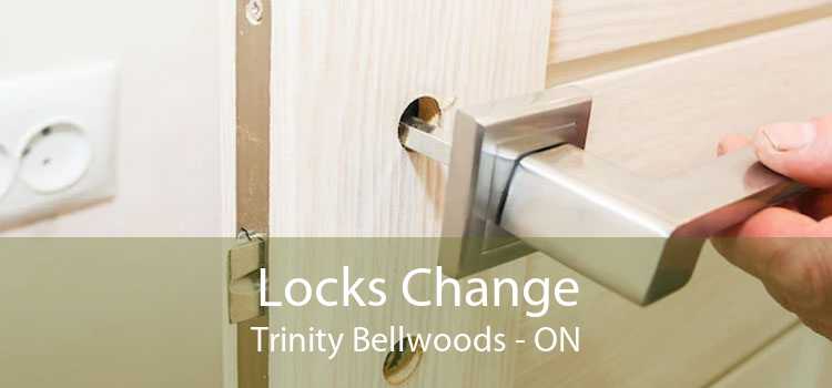 Locks Change Trinity Bellwoods - ON