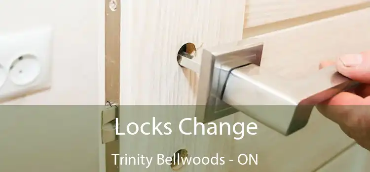  Locks Change Trinity Bellwoods - ON